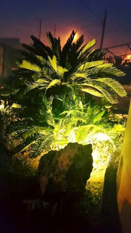 Lo Specchio Del Salento Bed and Breakfast Lecce Kamer foto